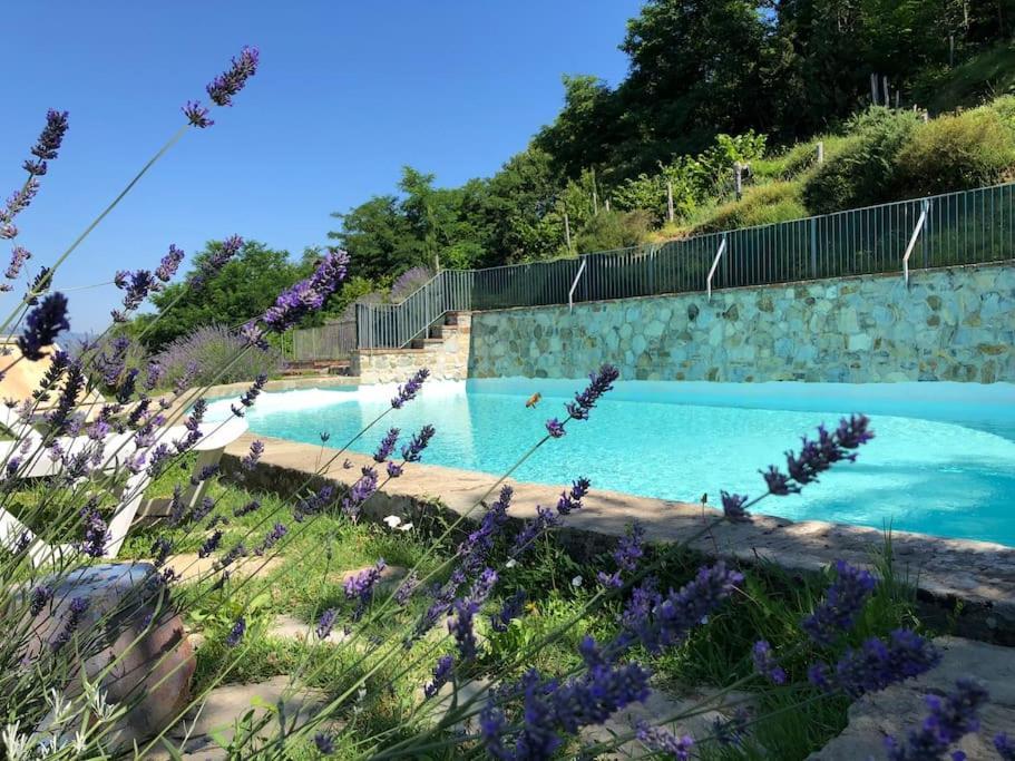 Podere Beatrice 20 Pax By Villasretreats Bardine di San Terenzo Bagian luar foto